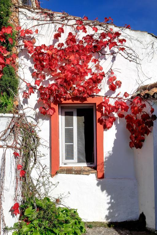 Cortijo La Hoya Guest House El Bujeo Bagian luar foto